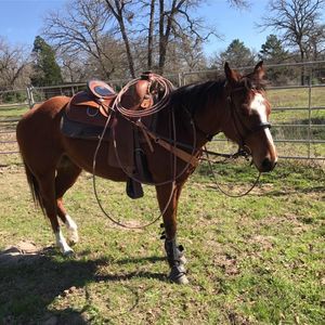 Meet your Posher, Dontae